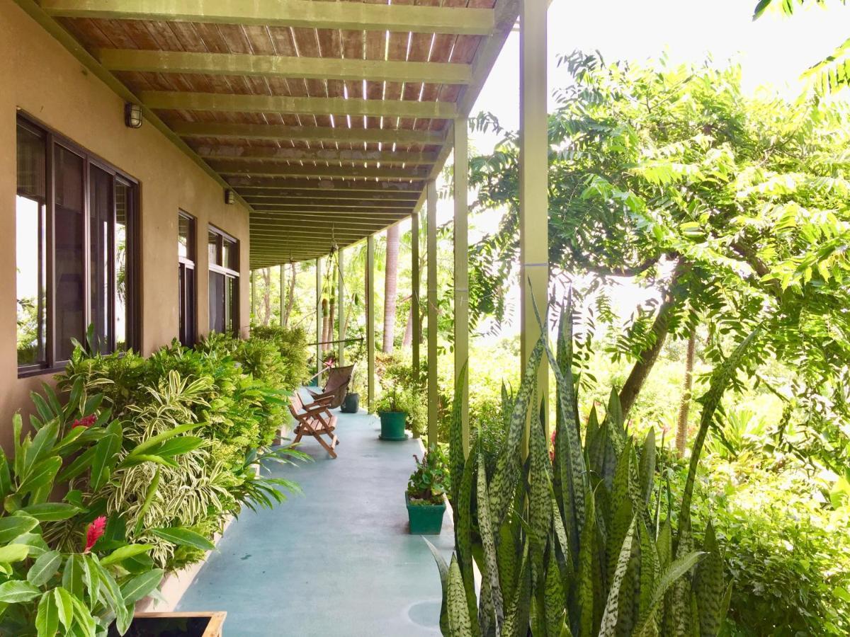 Santa Teresa Surf Vista Villas Playa Santa Teresa  Exterior foto